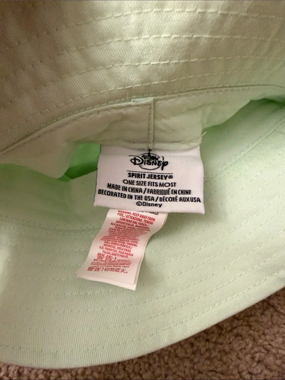 Disneyland Spirit Jersey Mint Green Bucket Hat